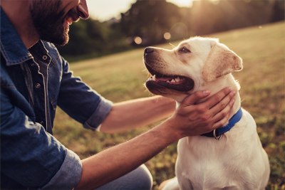 A man in a denim shirt smiling and petting his yellow Labrador outdoors during a golden sunset.