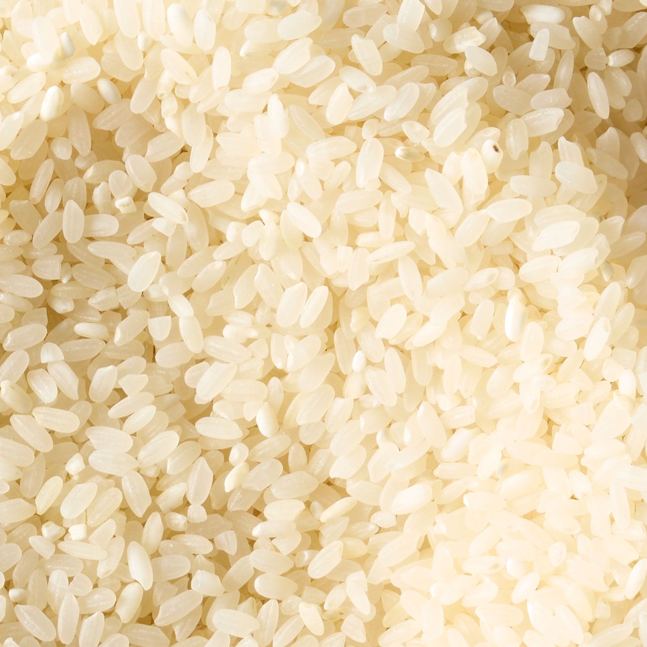 Medium grain rice