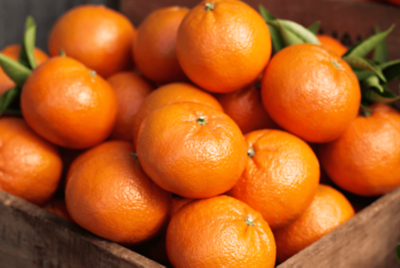 Amorette mandarin