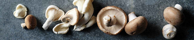A variety of fresh mushrooms, including cremini and oyster.