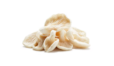 Oyster mushrooms