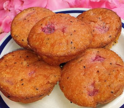Dragon Fruit Friands