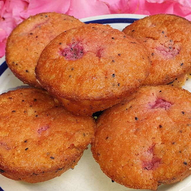 Dragon Fruit Friands