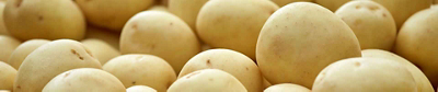 A close-up, top-down view of a dense pile of smooth, round, pale yellow-skinned potatoes.