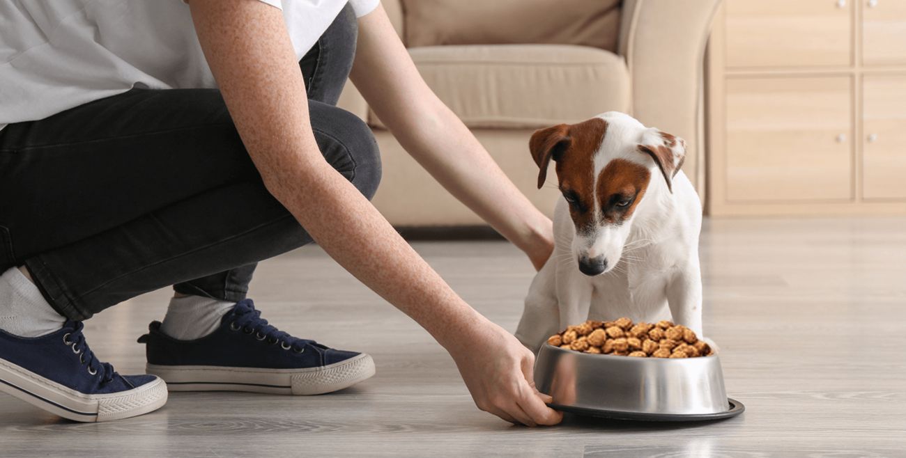Puppy eating bowl of Baxters