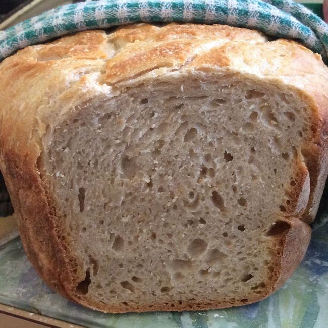 Basic Simple Sourdough