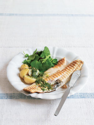 Grilled Sea Bass With Salsa Verde