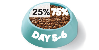 Day 5 and 6: 75% new food, 25% old food.