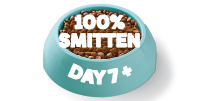 Day 7 onwards: 100% new food!