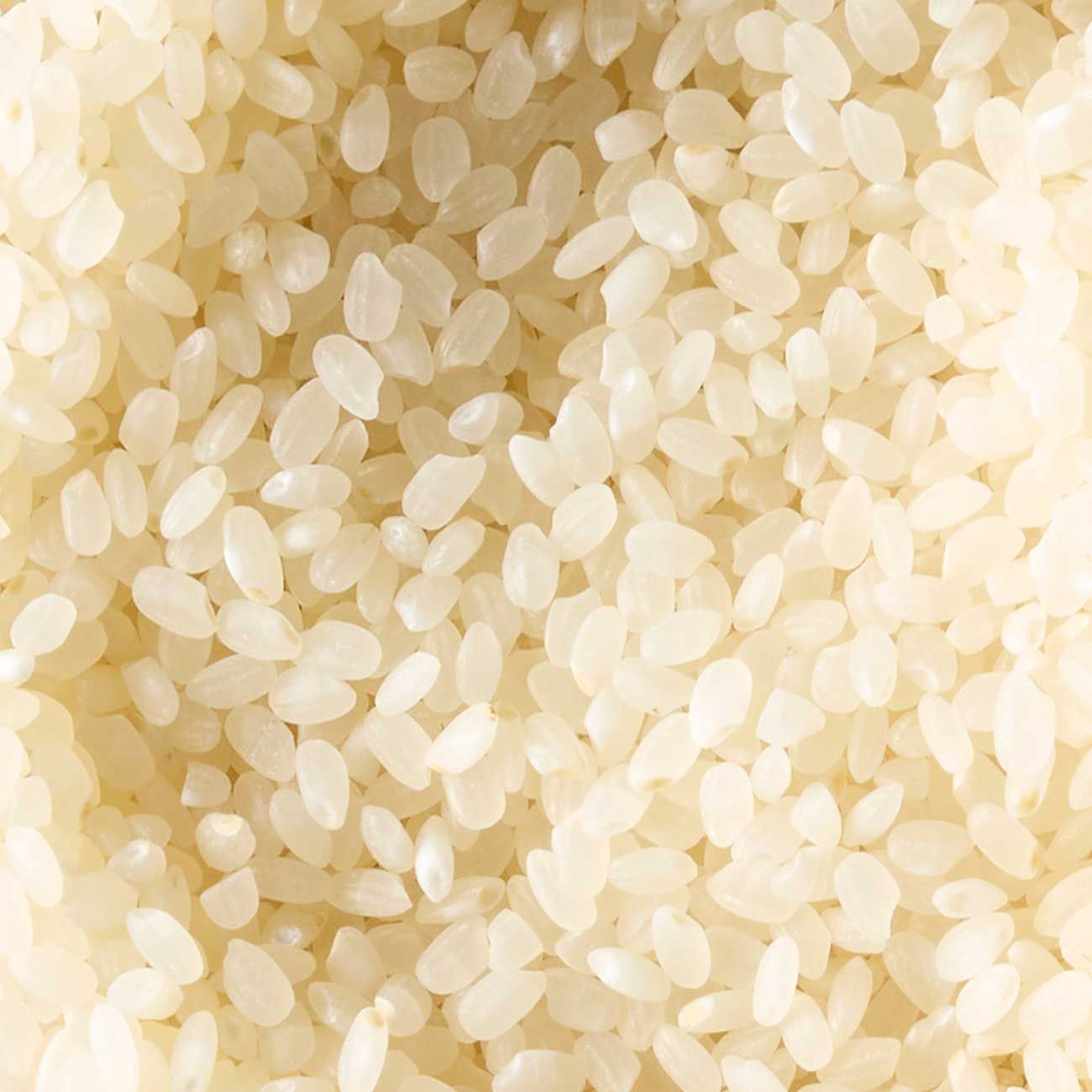 sushi rice