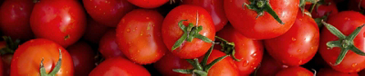A close-up, top-down view of a dense pile of ripe, red tomatoes with fresh green stems and small water droplets.