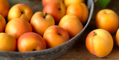 Apricots