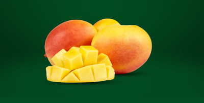 Calypso mangoes
