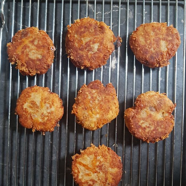 Tuna Patties