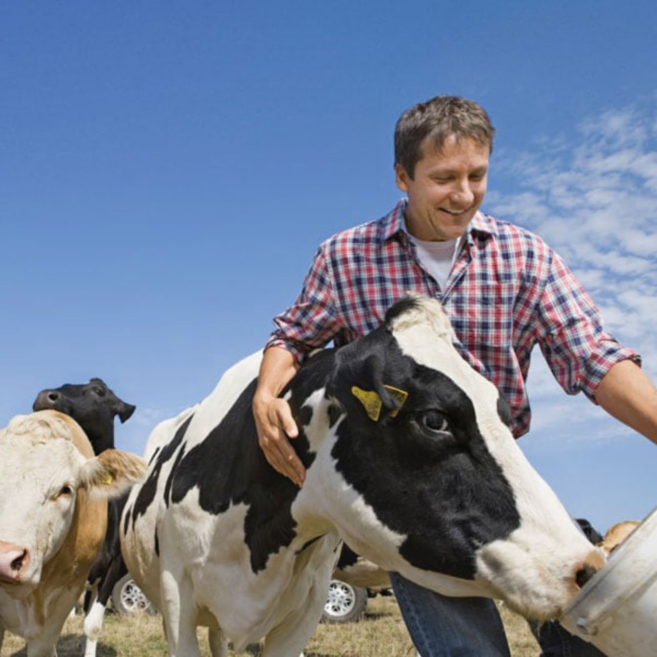 farmer