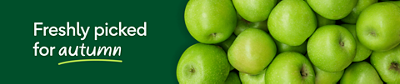 Mango header desktop