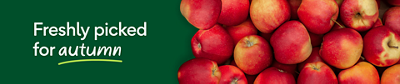Mango header desktop