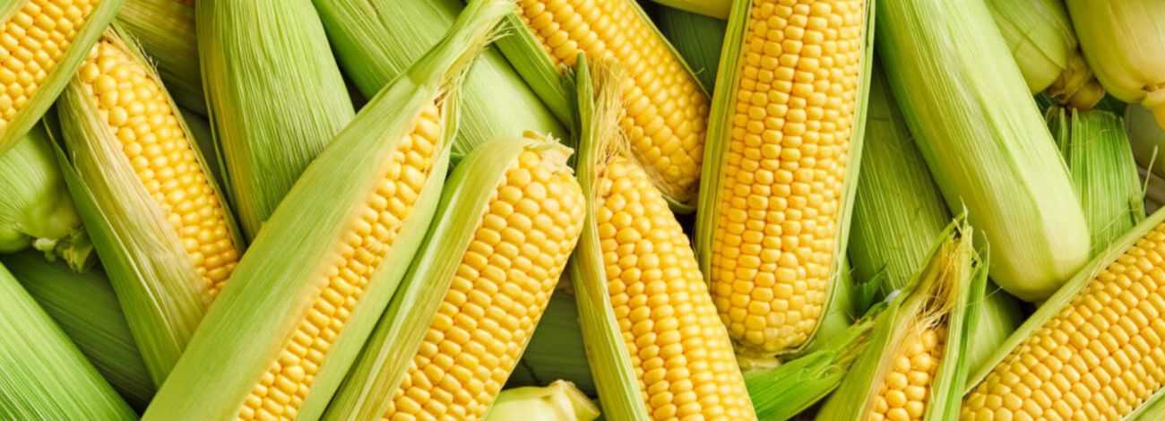 Sweetcorn