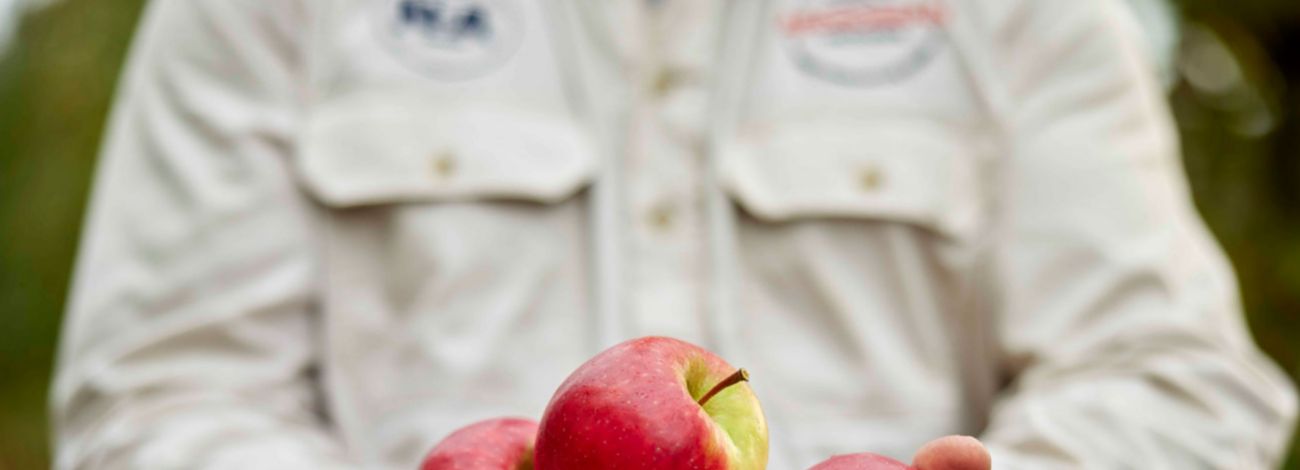 Apple grower with apples