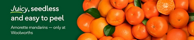 Mandarin header web