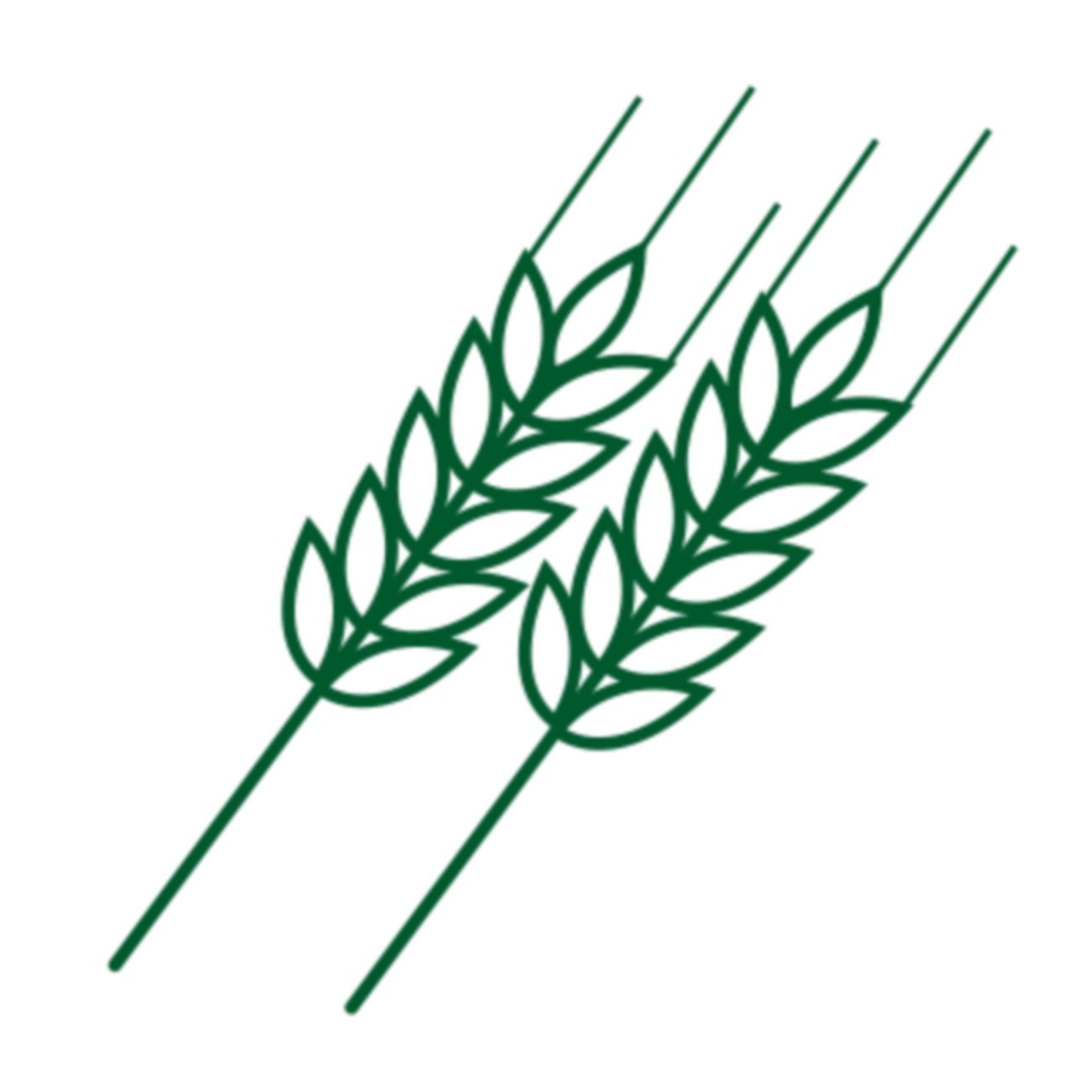 Rye flour