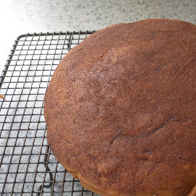 Cinnamon Tea Cake